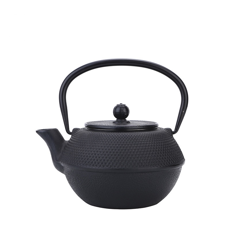 Cast iron customized color teapot with enameled coating