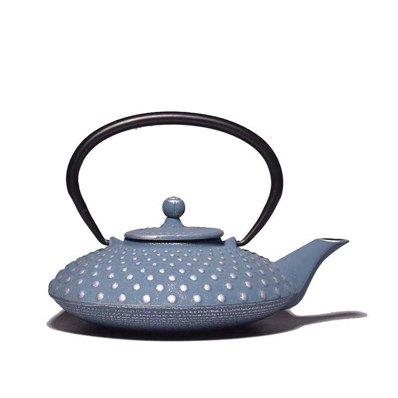 Special design cast iron teapot